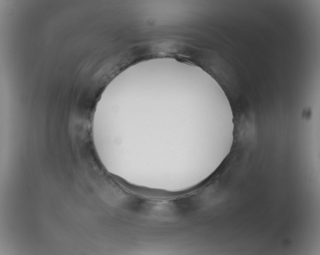 X0000112510427200908171053