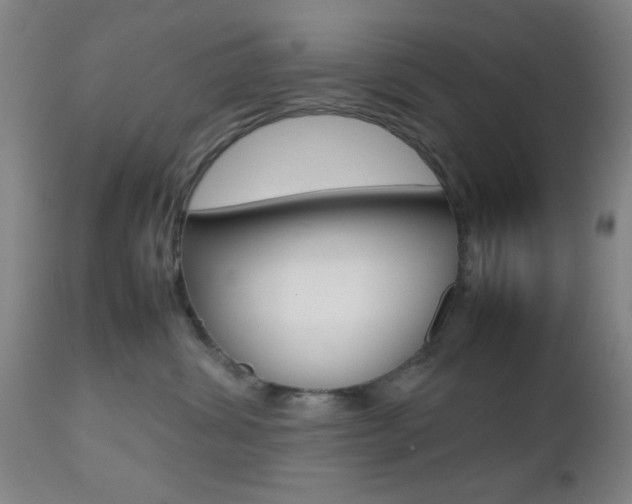 X0000112510428200908171053