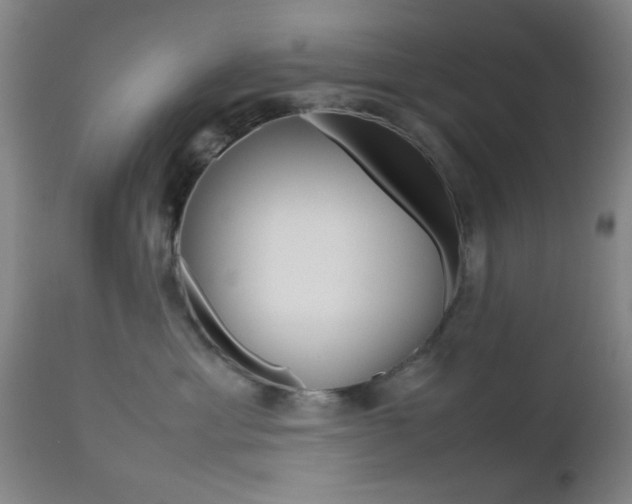 X0000112510429200908171053