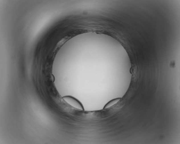 X0000112510430200908171053