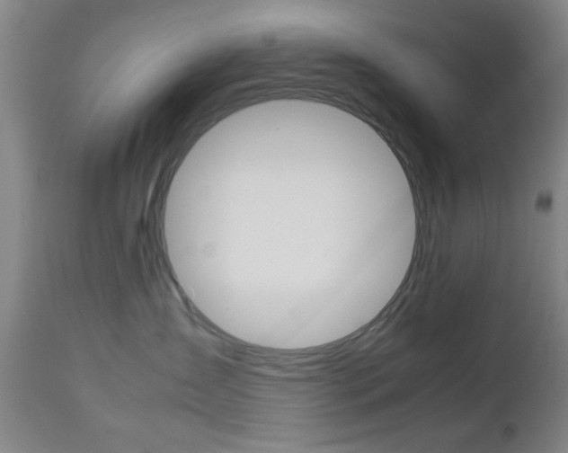 X0000112510431200908171053