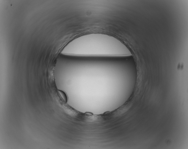 X0000112510432200908171052