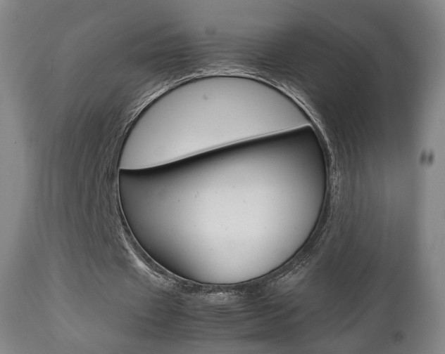 X0000112510433200908171052