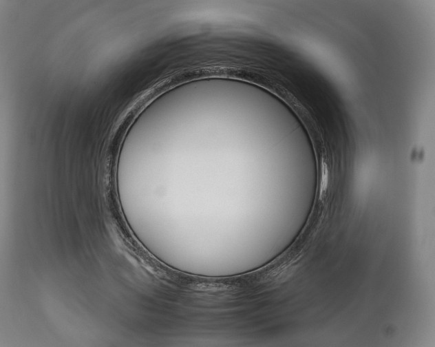 X0000112510435200908171052