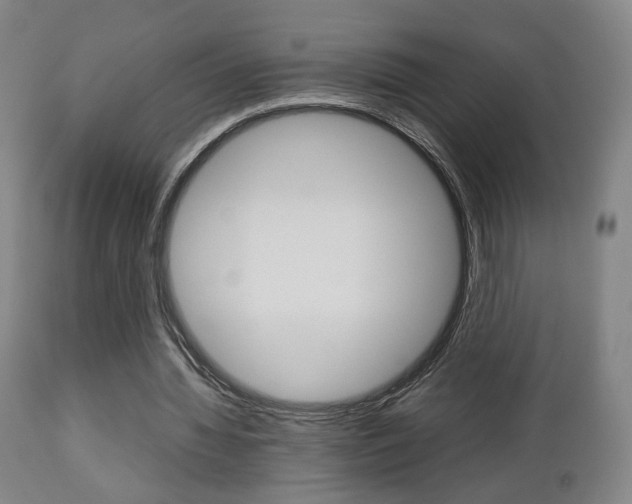X0000112510436200908171052