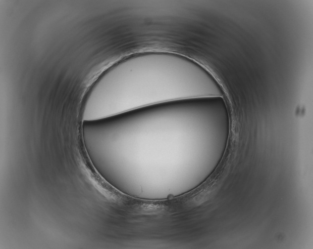 X0000112510437200908171052
