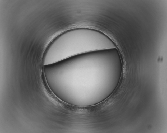 X0000112510438200908171052