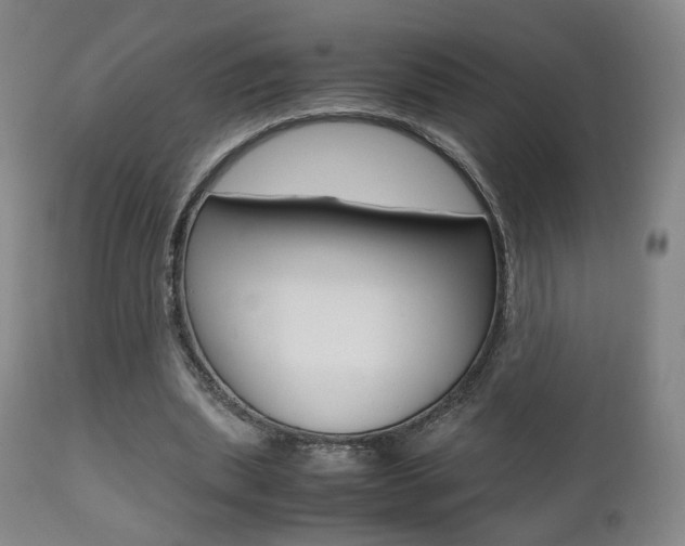 X0000112510439200908171052