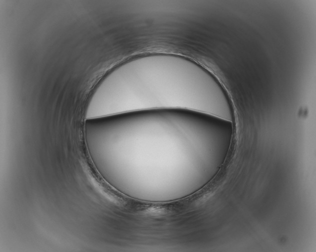X0000112510441200908171052