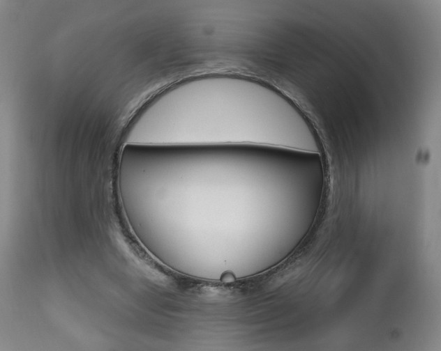 X0000112510442200908171052