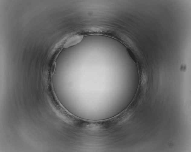 X0000112510444200908171052