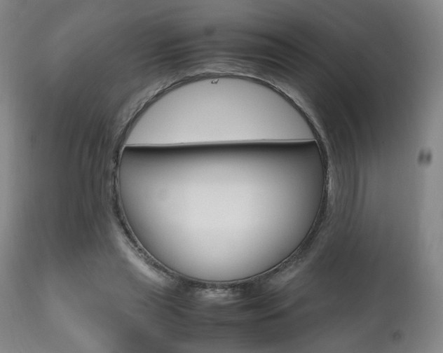 X0000112510445200908171052