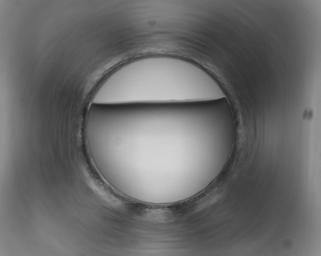 X0000112510446200908171052