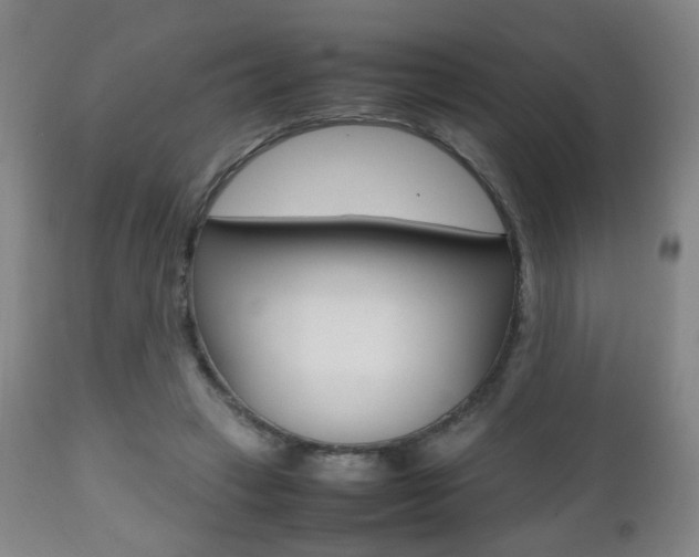 X0000112510449200908171052