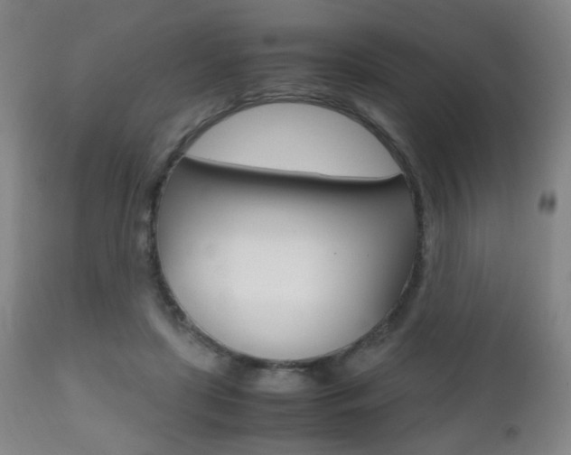 X0000112510451200908171052