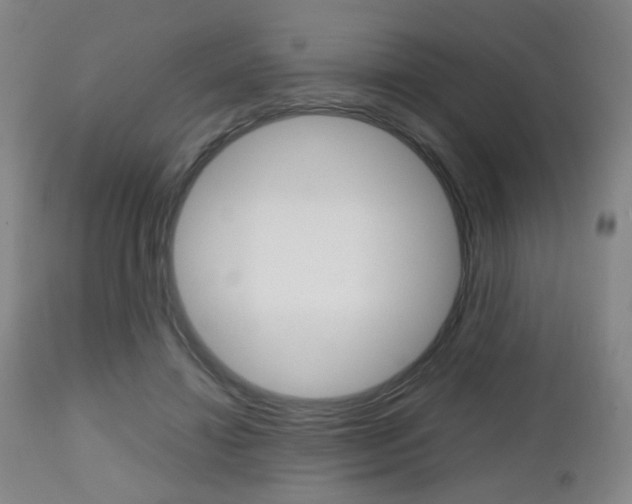 X0000112510452200908171052
