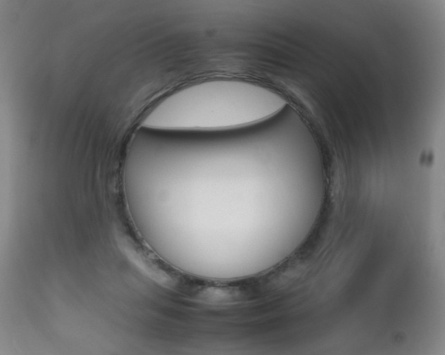 X0000112510455200908171052