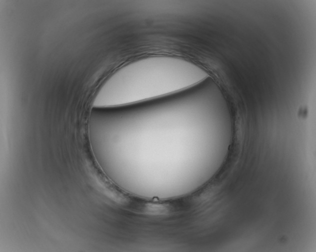 X0000112510457200908171052