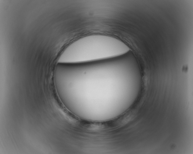 X0000112510458200908171052