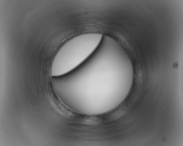 X0000112510459200908171052