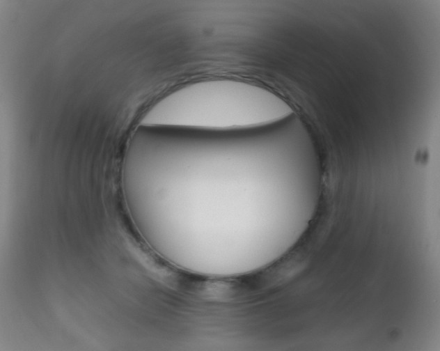 X0000112510462200908171052
