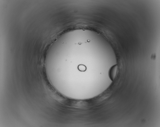 X0000112510463200908171052