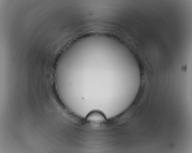 X0000112510464200908171052