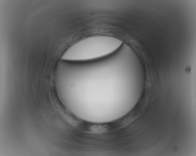 X0000112510465200908171052