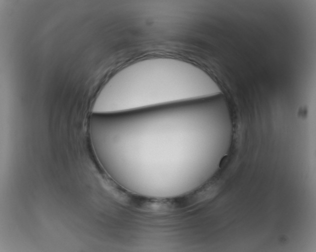 X0000112510466200908171052