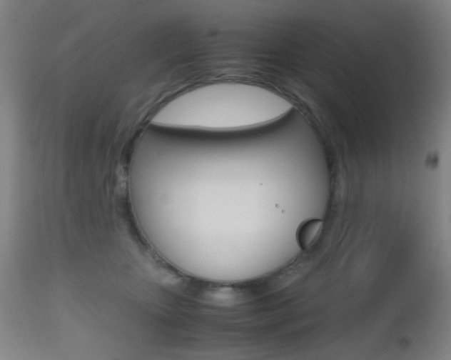 X0000112510467200908171052