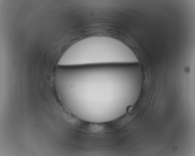 X0000112510469200908171052