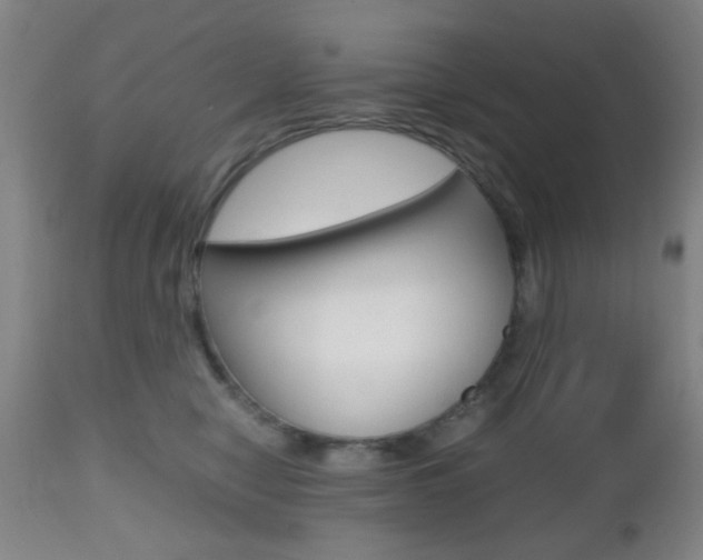 X0000112510470200908171052