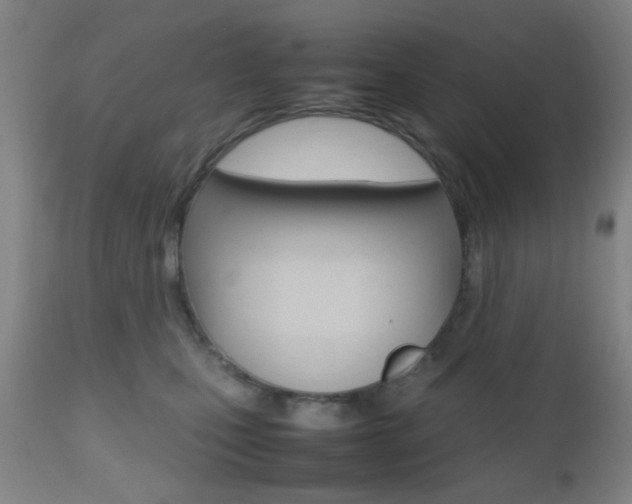X0000112510471200908171052