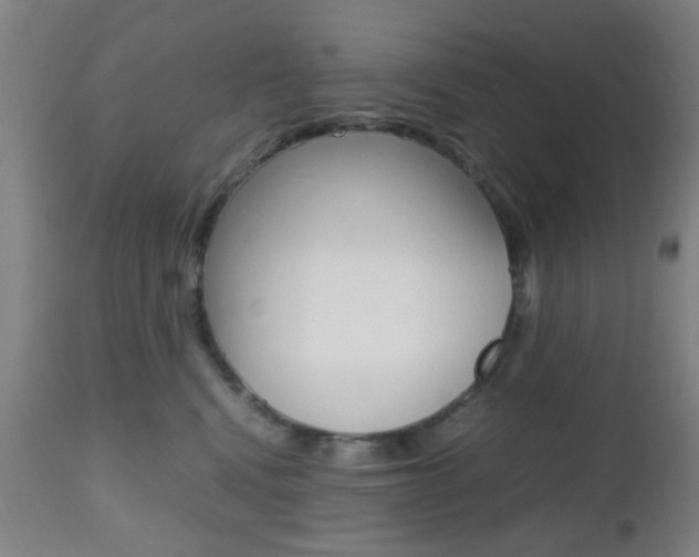 X0000112510472200908171052