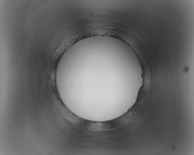 X0000112510473200908171052