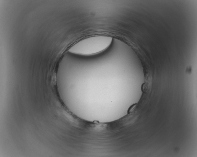 X0000112510474200908171052