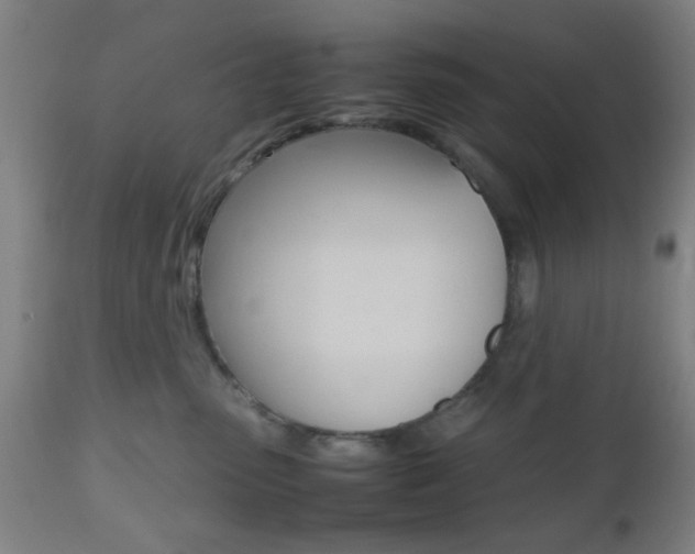 X0000112510475200908171052