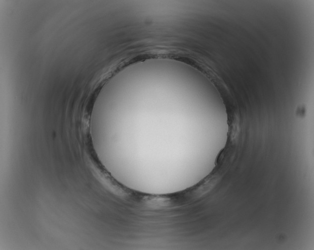 X0000112510476200908171052