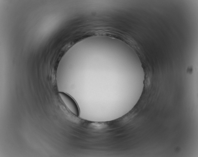 X0000112510477200908171052