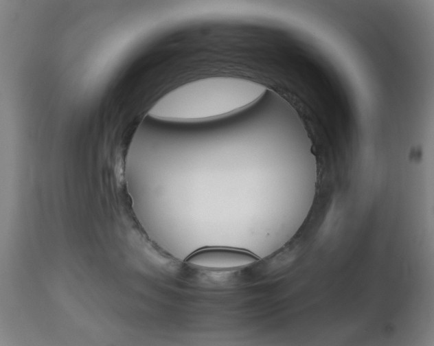 X0000112510479200908171052
