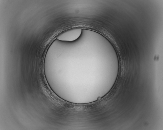 X0000112510482200908171052