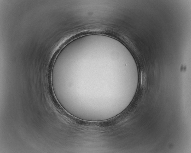 X0000112510483200908171052