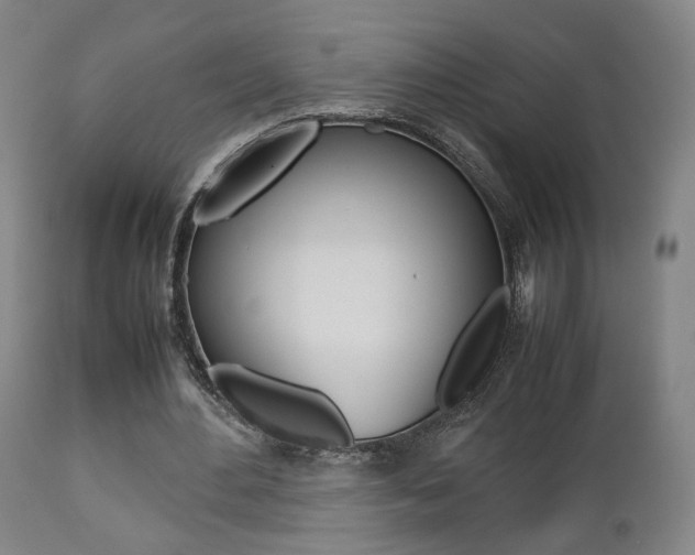 X0000112510484200908171052