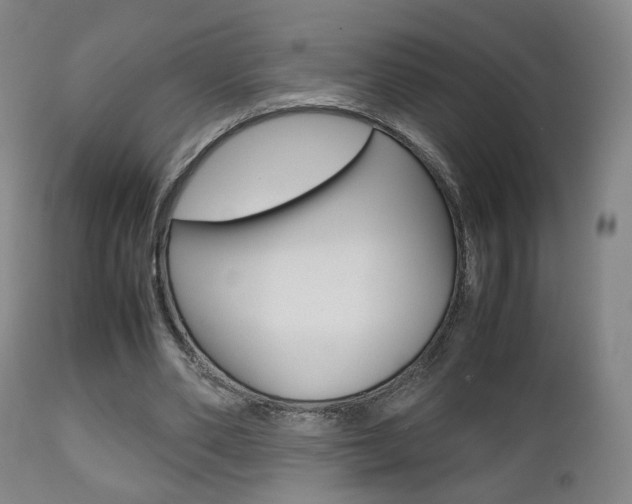 X0000112510486200908171052