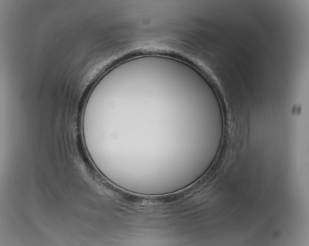 X0000112510487200908171052