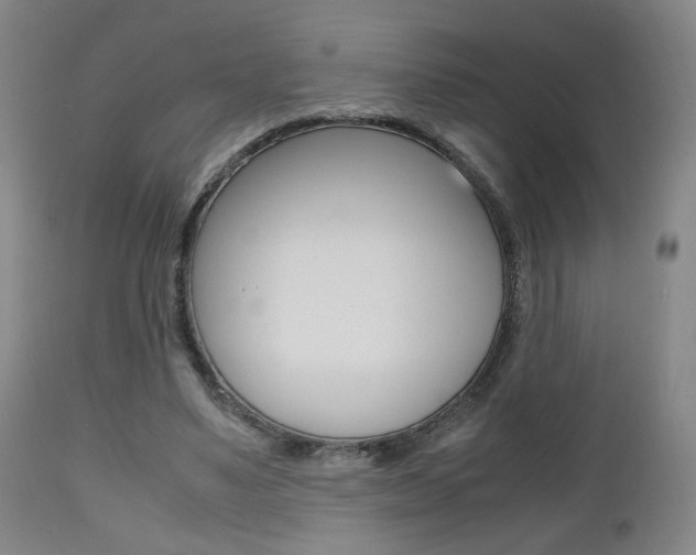 X0000112510491200908171052