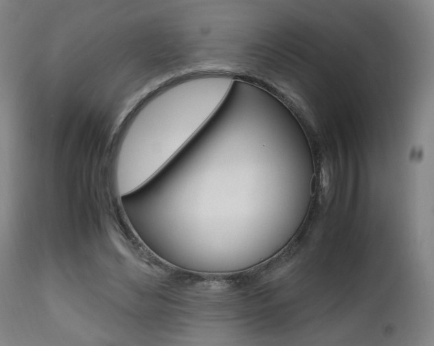 X0000112510492200908171051