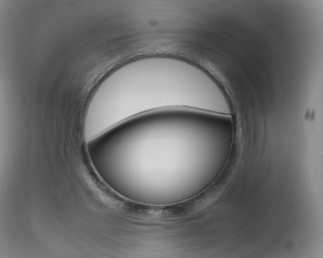 X0000112510493200908171051