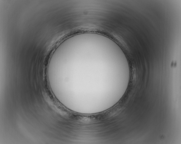 X0000112510494200908171051