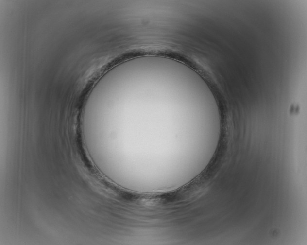 X0000112510495200908171051